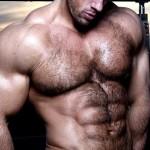 Hairy Muscle Macho Chest