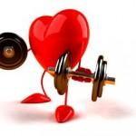 stock-footage--d-body-building-heart-who-lifts-weights